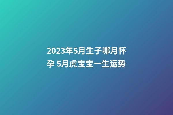 2023年5月生子哪月怀孕 5月虎宝宝一生运势